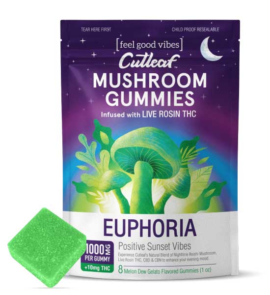 Melon Dew Gelato 1000MG Euphoria Mushroom Gummies