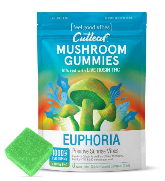 Watermelon Gelato 1000MG Euphoria Mushroom Gummies