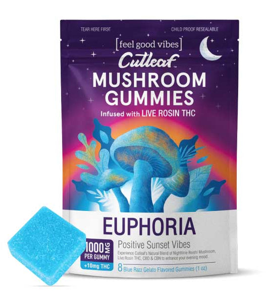Blue Razz Gelato 1000MG Euphoria Mushroom Gummies